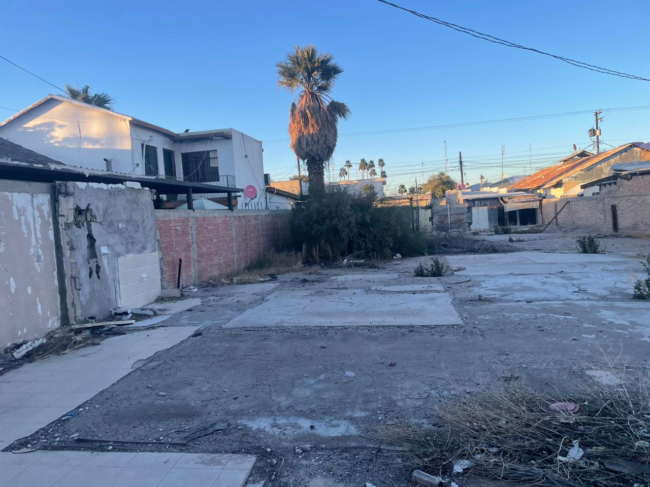 WhatsApp Image 2024-01-11 at 4-39-58 PM.jpeg